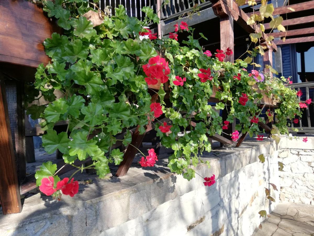 גלבטרצי Trifon Zarezan Family Hotel מראה חיצוני תמונה